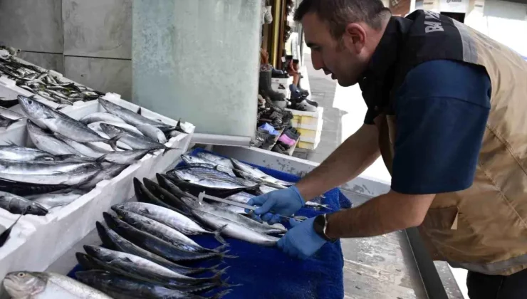 Bayburt’ta Balık Satış Yerlerinde Denetim Yapıldı