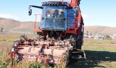 Bayburt’ta Şeker Pancarı Hasadı Devam Ediyor