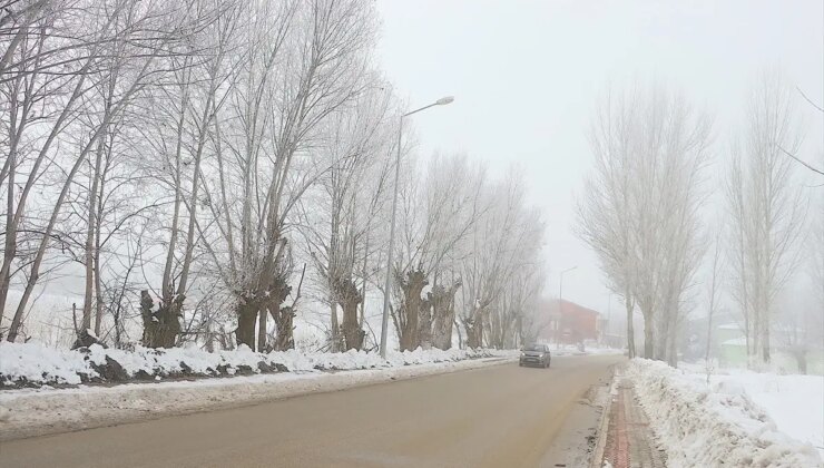 Bayburt’ta Soğuk Hava ve Sis, Hayatı Olumsuz Etkiliyor